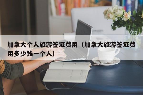 加拿大个人旅游签证费用（加拿大旅游签证费用多少钱一个人）