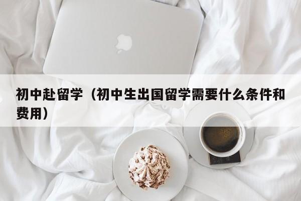初中赴留学（初中生出国留学需要什么条件和费用）