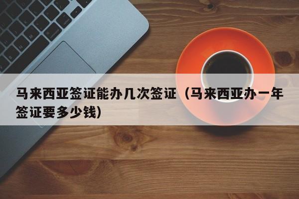 马来西亚签证能办几次签证（马来西亚办一年签证要多少钱）