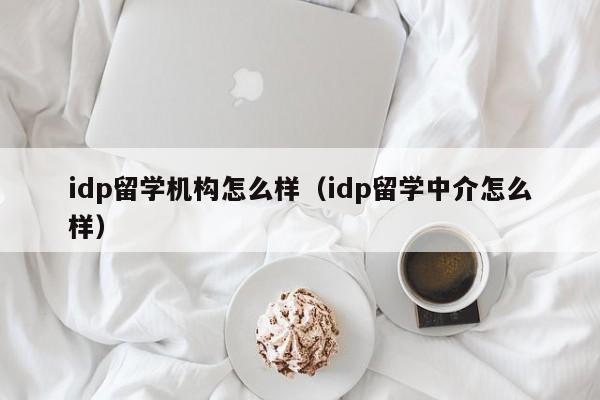 idp留学机构怎么样（idp留学中介怎么样）