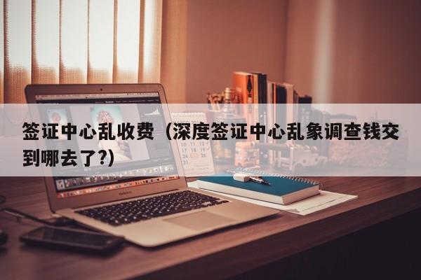 签证中心乱收费（深度签证中心乱象调查钱交到哪去了?）
