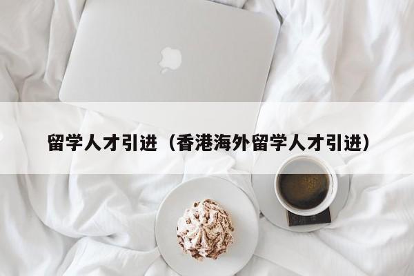 留学人才引进（香港海外留学人才引进）