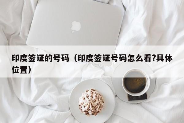 印度签证的号码（印度签证号码怎么看?具体位置）