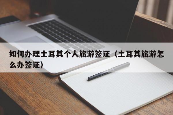 如何办理土耳其个人旅游签证（土耳其旅游怎么办签证）