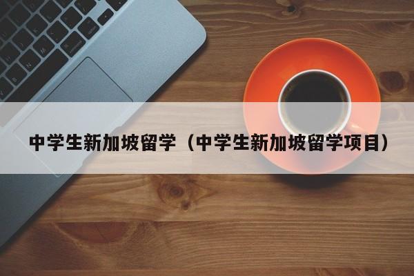 中学生新加坡留学（中学生新加坡留学项目）