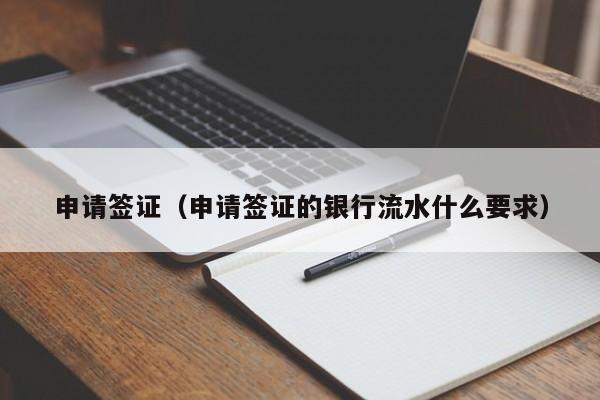 申请签证（申请签证的银行流水什么要求）