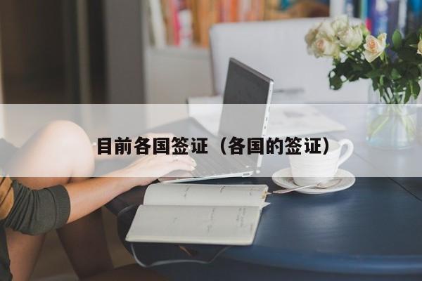 目前各国签证（各国的签证）