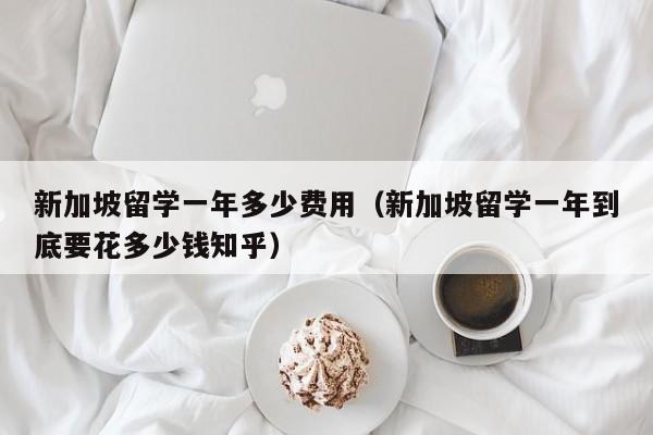 新加坡留学一年多少费用（新加坡留学一年到底要花多少钱知乎）