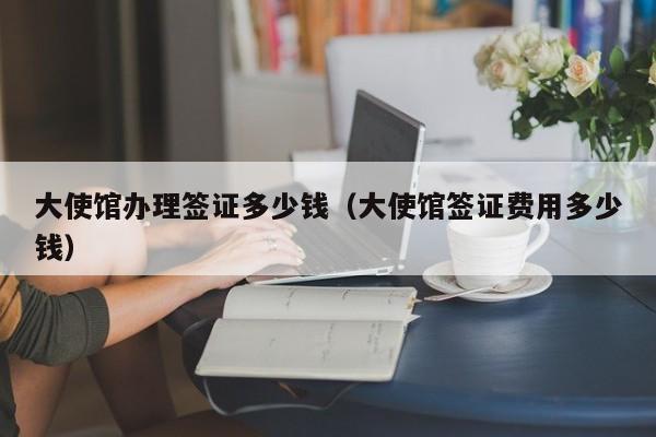 大使馆办理签证多少钱（大使馆签证费用多少钱）