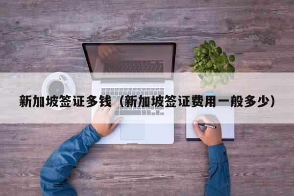 新加坡签证多钱（新加坡签证费用一般多少）