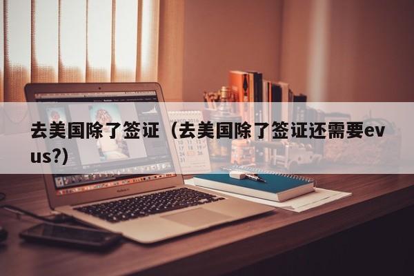 去美国除了签证（去美国除了签证还需要evus?）