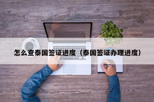 怎么查泰国签证进度（泰国签证办理进度）