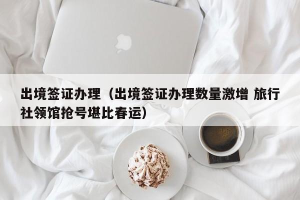 出境签证办理（出境签证办理数量激增 旅行社领馆抢号堪比春运）