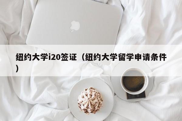纽约大学i20签证（纽约大学留学申请条件）