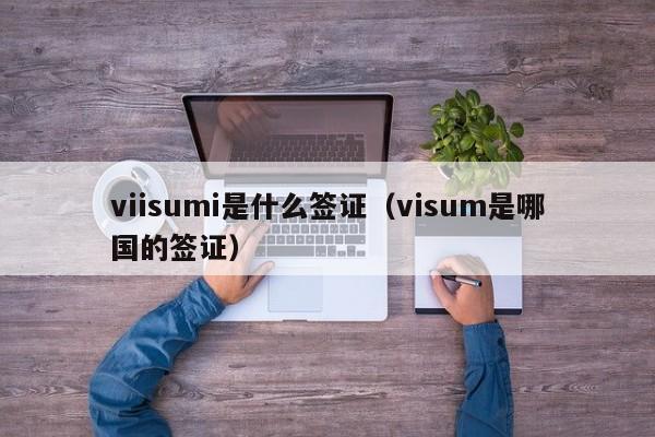 viisumi是什么签证（visum是哪国的签证）