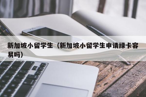 新加坡小留学生（新加坡小留学生申请绿卡容易吗）