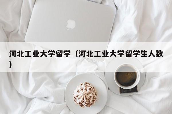 河北工业大学留学（河北工业大学留学生人数）