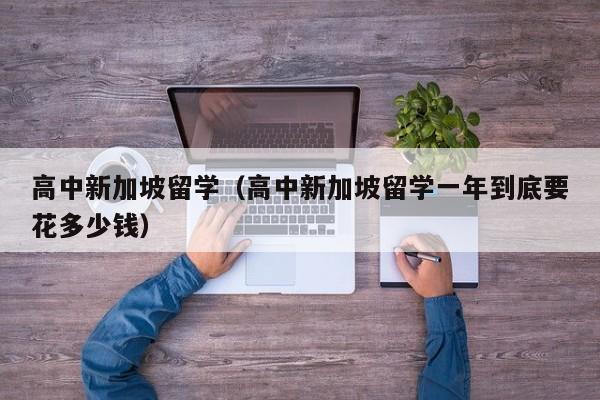 高中新加坡留学（高中新加坡留学一年到底要花多少钱）