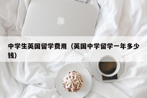 中学生英国留学费用（英国中学留学一年多少钱）