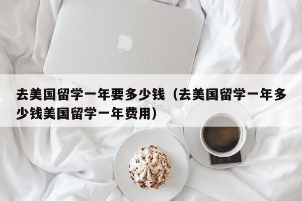 去美国留学一年要多少钱（去美国留学一年多少钱美国留学一年费用）