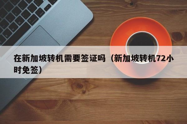 在新加坡转机需要签证吗（新加坡转机72小时免签）