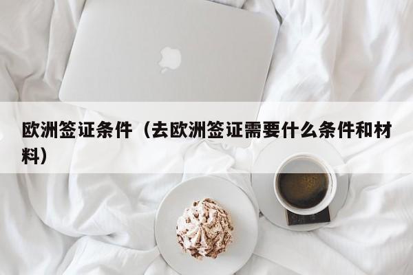 欧洲签证条件（去欧洲签证需要什么条件和材料）