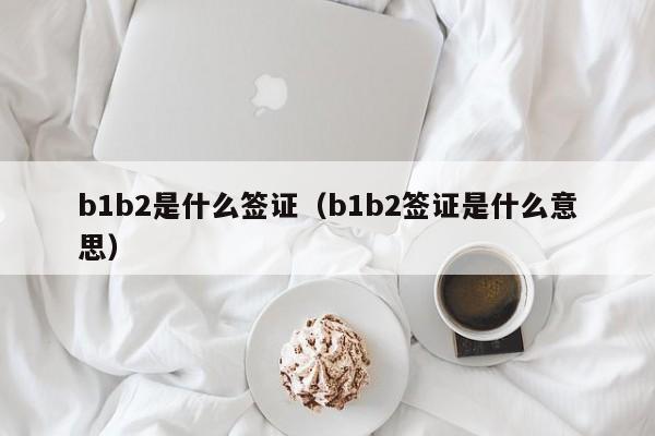 b1b2是什么签证（b1b2签证是什么意思）