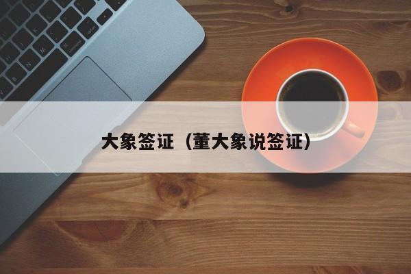大象签证（董大象说签证）