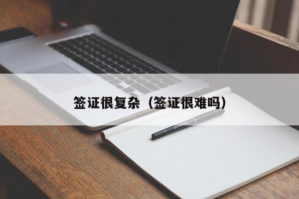 签证很复杂（签证很难吗）