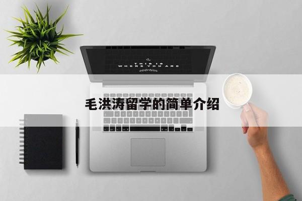 毛洪涛留学的简单介绍