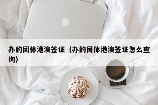 办的团体港澳签证（办的团体港澳签证怎么查询）