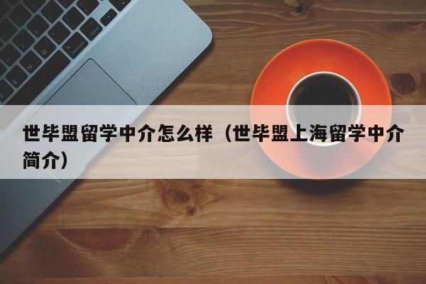 世毕盟留学中介怎么样（世毕盟上海留学中介简介）