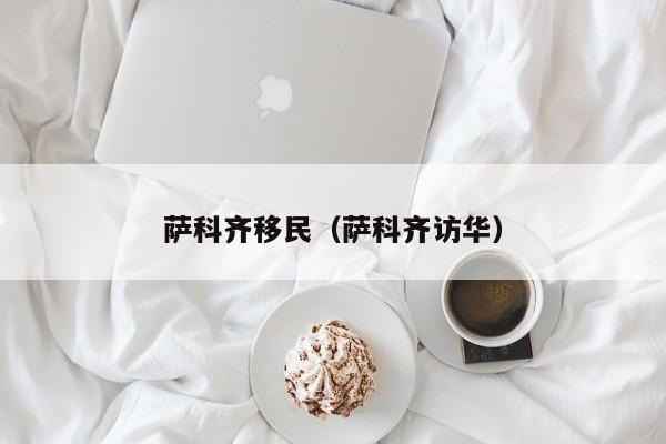 萨科齐移民（萨科齐访华）