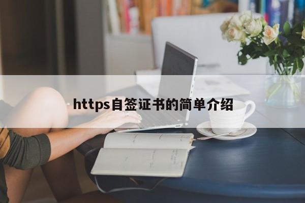 https自签证书的简单介绍