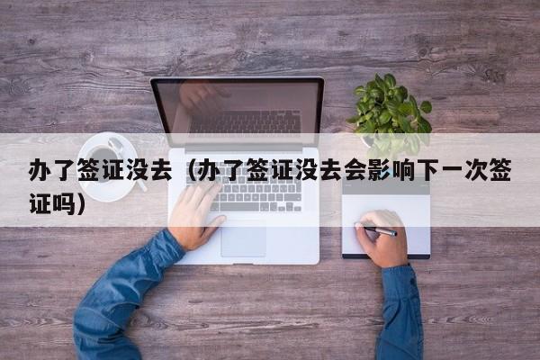 办了签证没去（办了签证没去会影响下一次签证吗）