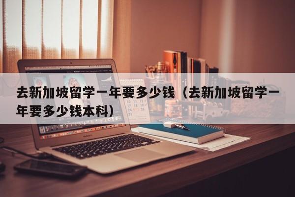 去新加坡留学一年要多少钱（去新加坡留学一年要多少钱本科）