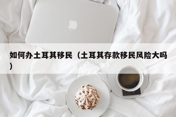 如何办土耳其移民（土耳其存款移民风险大吗）