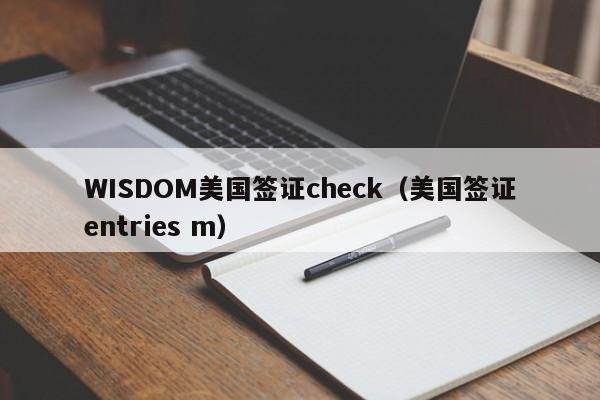 WISDOM美国签证check（美国签证entries m）