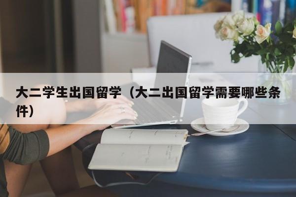 大二学生出国留学（大二出国留学需要哪些条件）