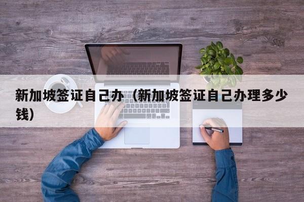 新加坡签证自己办（新加坡签证自己办理多少钱）