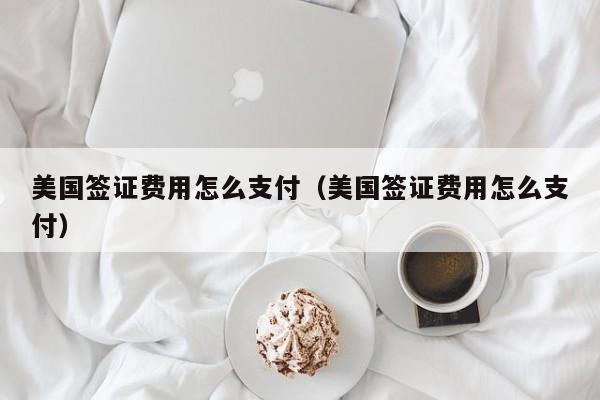 美国签证费用怎么支付（美国签证费用怎么支付）
