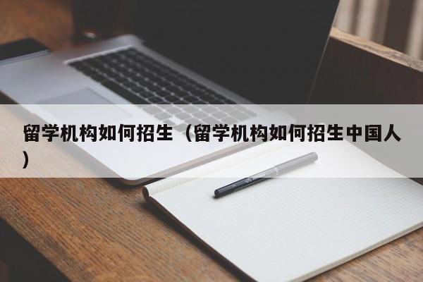 留学机构如何招生（留学机构如何招生中国人）