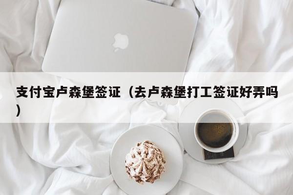 支付宝卢森堡签证（去卢森堡打工签证好弄吗）