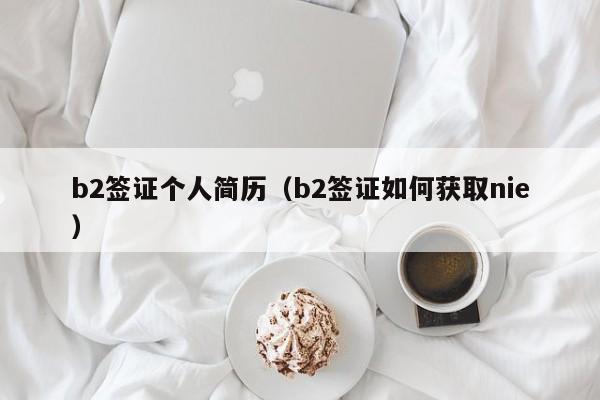 b2签证个人简历（b2签证如何获取nie）