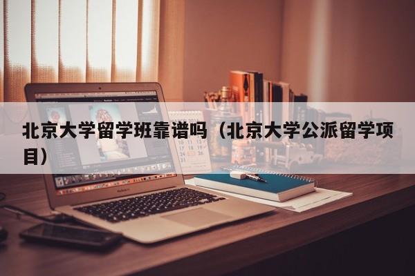 北京大学留学班靠谱吗（北京大学公派留学项目）