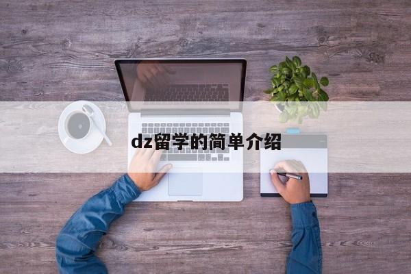 dz留学的简单介绍