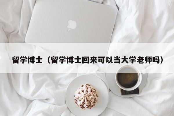 留学博士（留学博士回来可以当大学老师吗）
