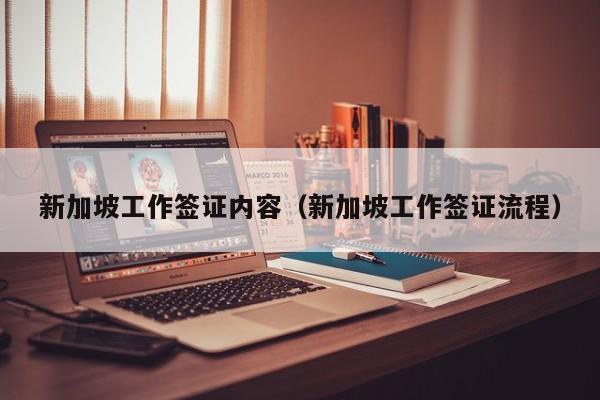 新加坡工作签证内容（新加坡工作签证流程）