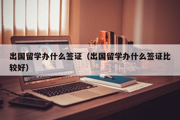 出国留学办什么签证（出国留学办什么签证比较好）
