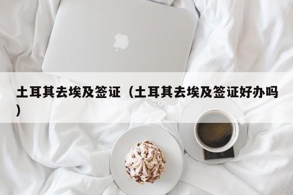 土耳其去埃及签证（土耳其去埃及签证好办吗）